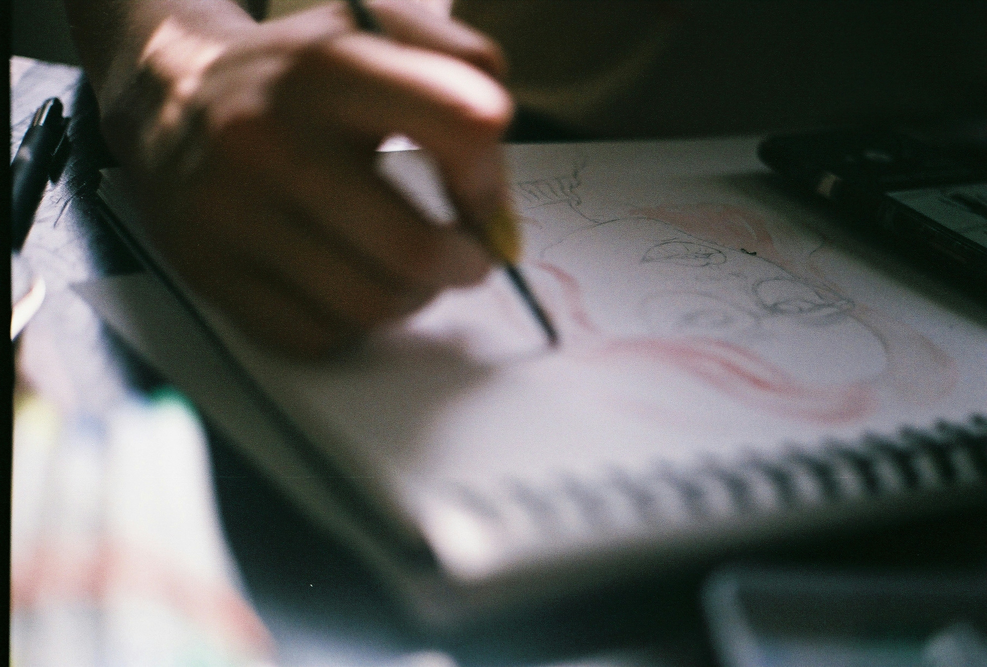 Raffle ticket and participation guide